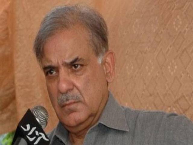 Punjab extends all-out incentives to foreign investors: Shahbaz