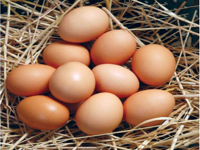 Eggs rate rises to Rs 110/dozen