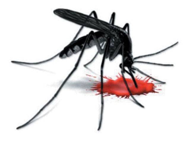 Nine new dengue cases reported in City