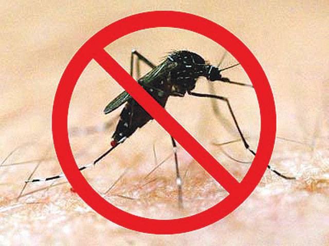  Nine new dengue cases reported in City