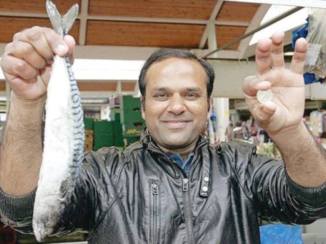 One-Pound Fish in troubled waters