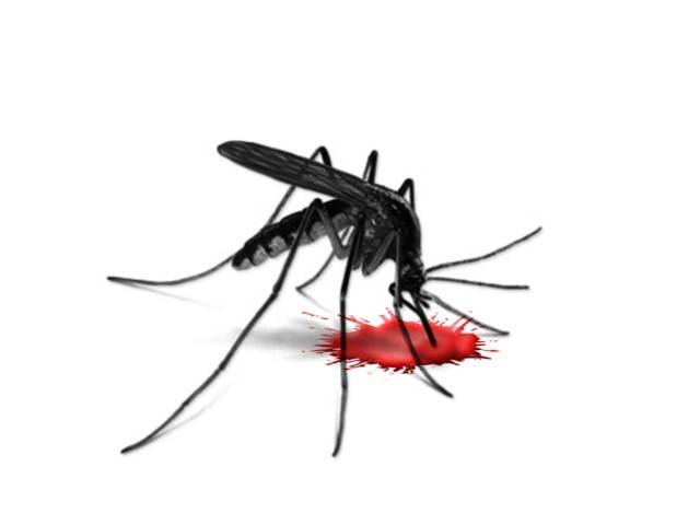Ten more new dengue cases reported