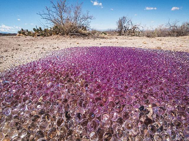 Mysterious purple spheres found in desert spark speculation