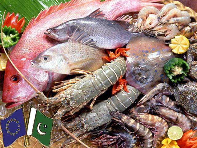 Seafood production registers negative growth of 24pc