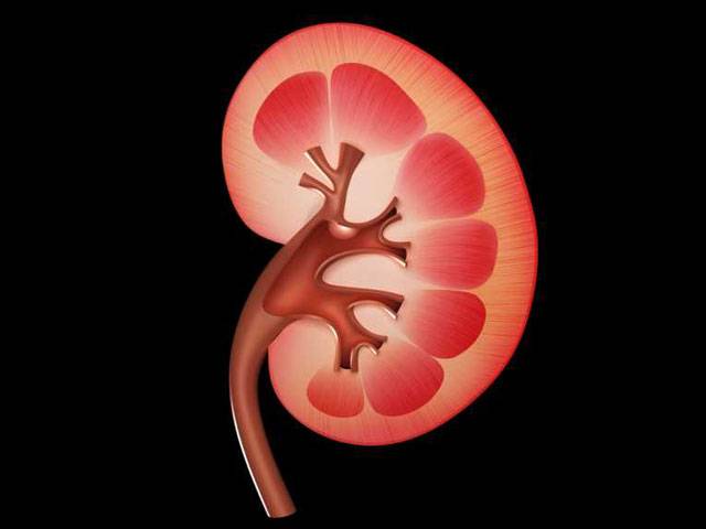  Renal failure takes 20,000 lives every year