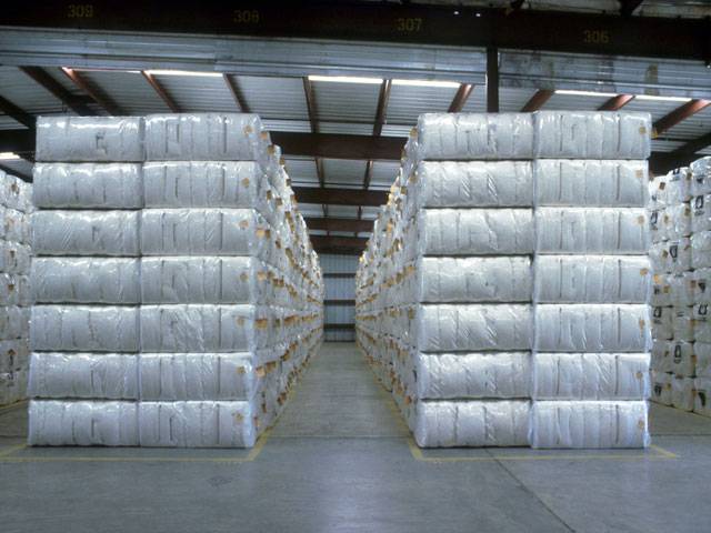 Ginning factories receive 20.5pc less cotton bales 