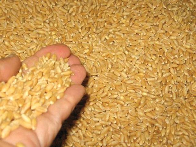 Bumper wheat crop of 25m tons expected this year 