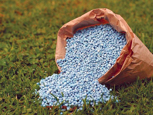 Agritech, DH Fertilizers start urea production