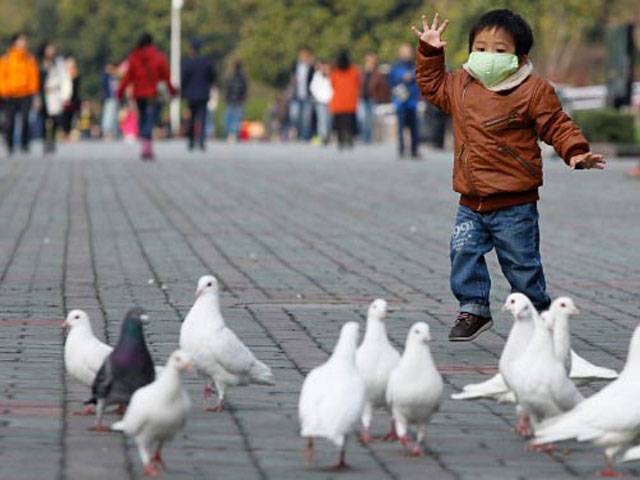 Mystery of Chinese bird flu outbreak grows
