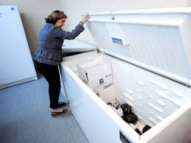 Russian hid dead babies in store freezer for 5 years