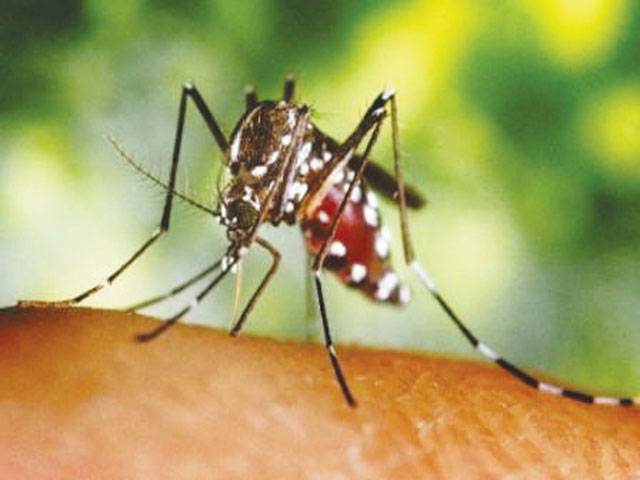CDA anti-dengue drive on 