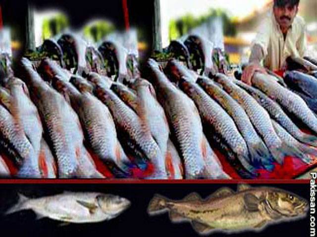 Fish exports up 4.46 per cent in 10 months