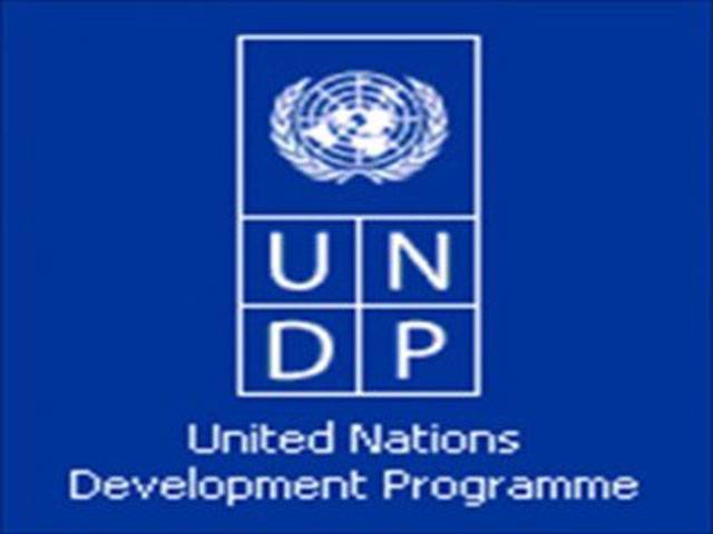 UNDP offers 12 fellowships on federalism