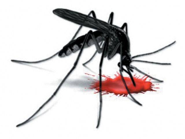 Anti-dengue war continues