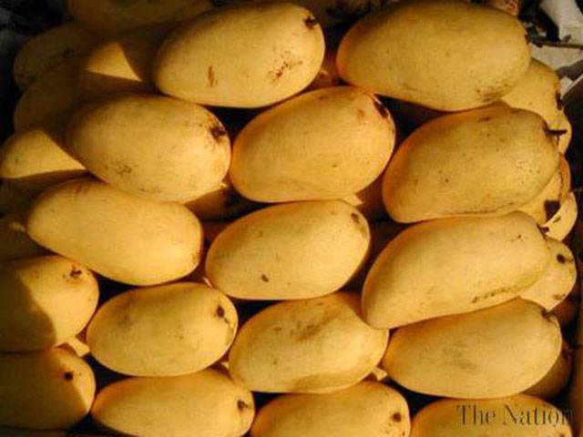 Australia gives green signal to Pak mango export
