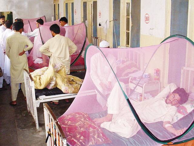 Dengue echoing in Swat valley