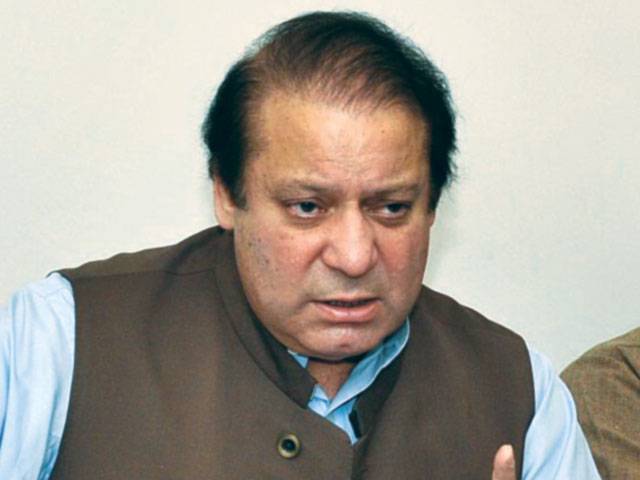 Democracy, peaceful protests interlinked: PM