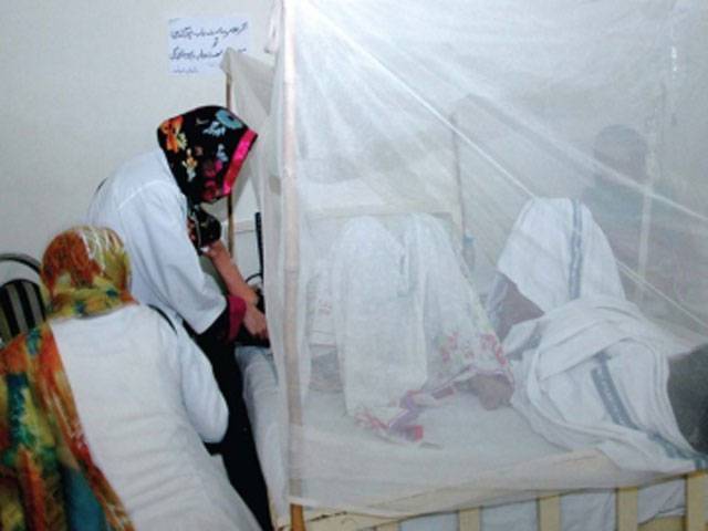 Dengue danger looms large 