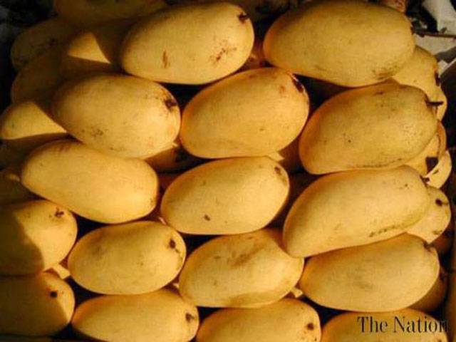 Exotic Pak mango starts decorating super markets
