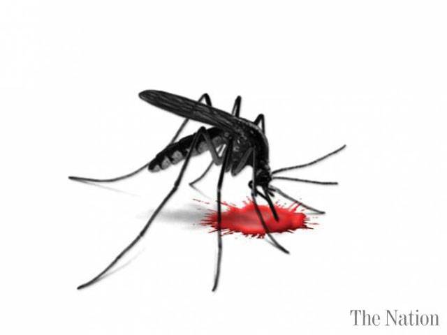 55 new dengue cases in Sindh 