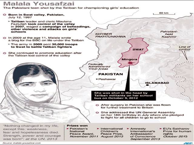 Malala Inc: global operation surrounds Pakistani girl