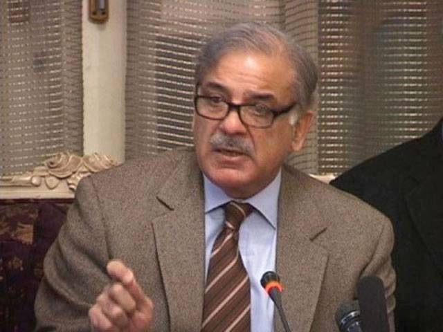 Shahbaz takes notice over delay in iron ore exploration 