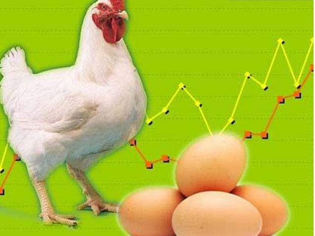 Poultry growth to double in 10 years
