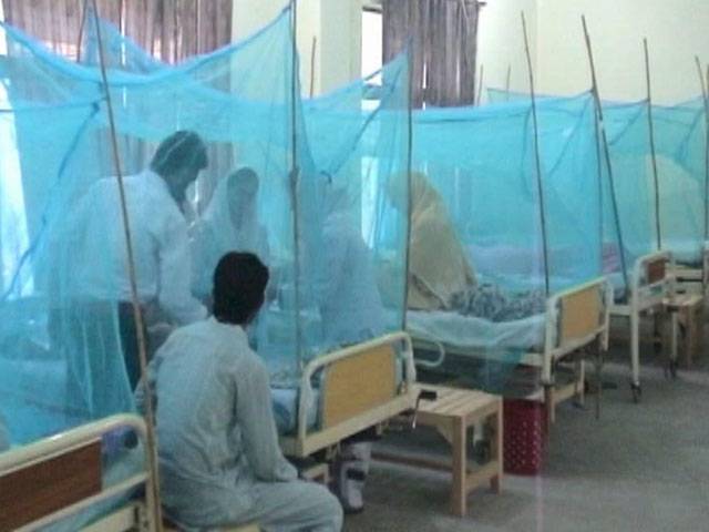 3 more lives lost to dengue in Sindh 