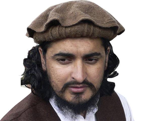 Qari Walayat ‘elected’ new TTP chief