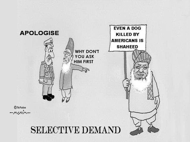apologise why don't you ask him first even a dog killed by americans is shaheed selective demand