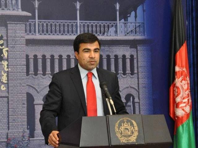 Afghan ministry spokesperson new envoy to Pakistan