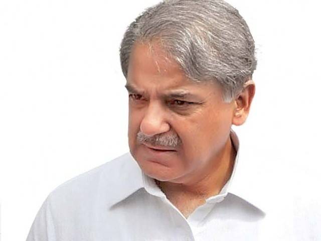 Shahbaz lauds ulema for promoting religious harmony