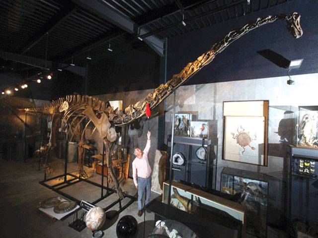 150m-year-old dinosaur skeleton to fetch £6K