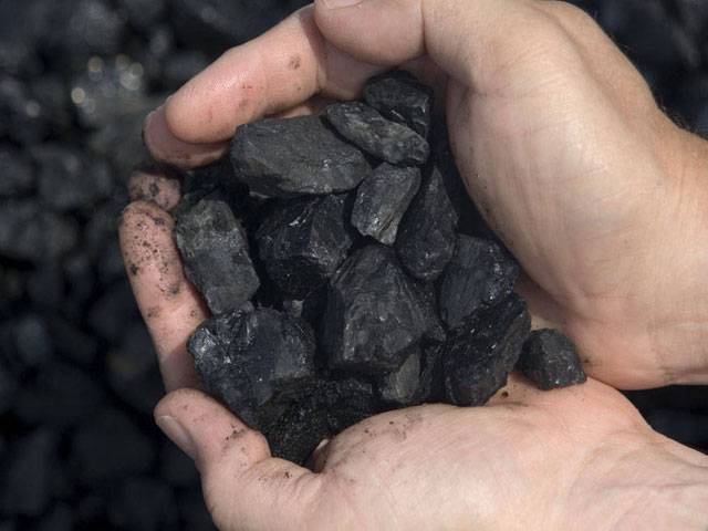 Coal prices rise to $81/ton 