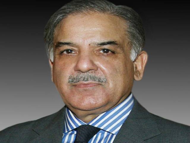 Govt striving to rid country of energy crisis: Shahbaz