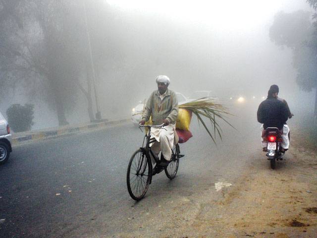 Fog paralyses routine life