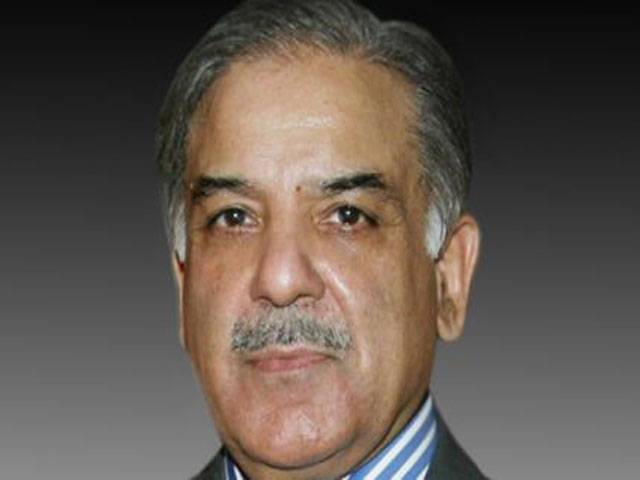 Every possible step being adopted to end energy crisis, says Shahbaz