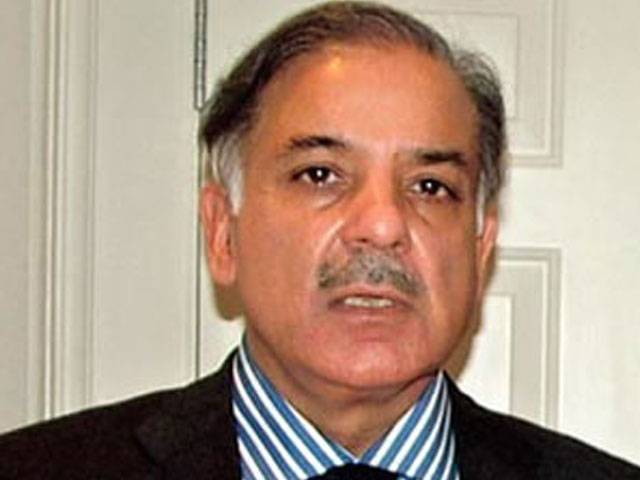 Talks offer reflects govt’s sincerity for peace: Shahbaz