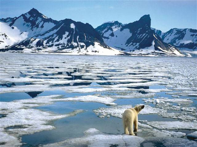 US to appoint Arctic envoy