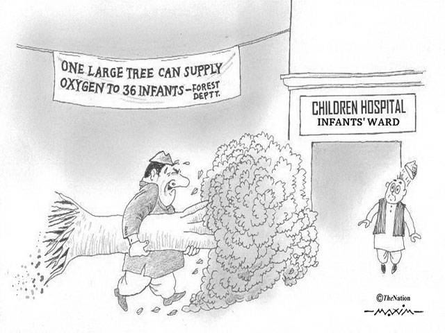 One large tree can supply oxygen to 36 infants-forest deptt. Children Hospital infants\' ward