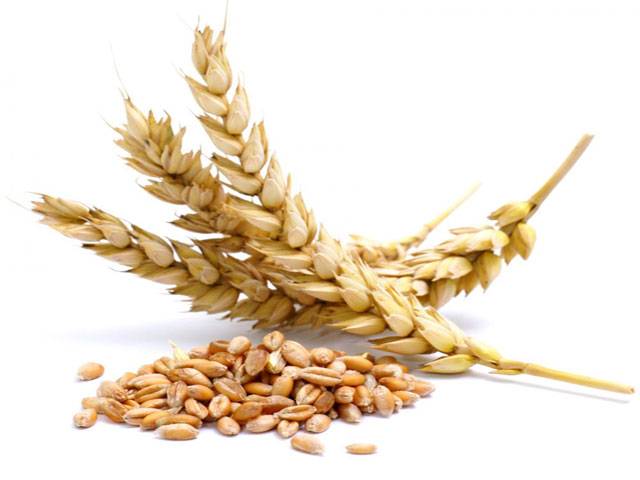 ECC sets wheat procurement target at 8 million tons 