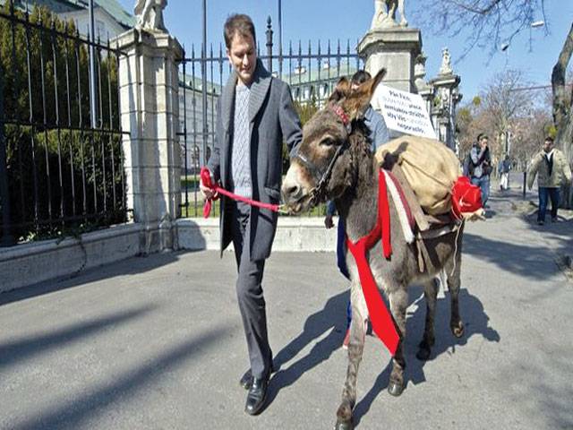Opp sends donkey, potatoes to Slovakia PM 