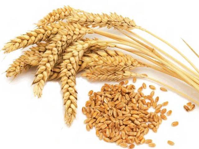 Wheat being sold at Rs1,800/40kg despite no support price