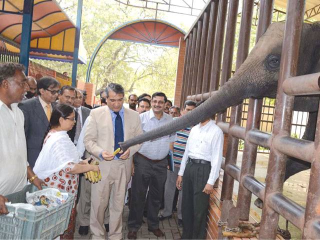 Sindh chief secretary orders zoo food plan 