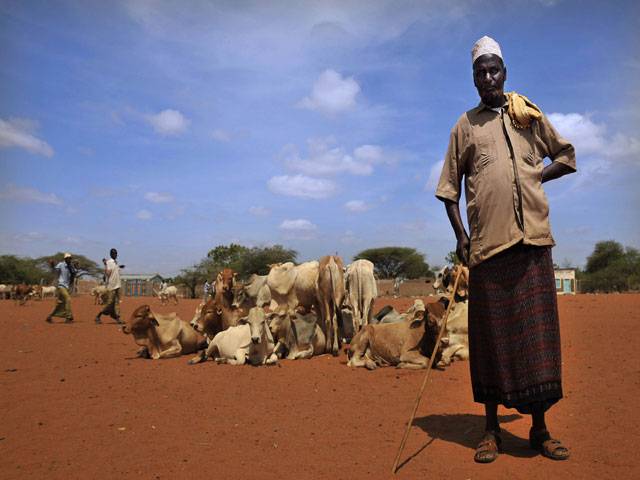 Space tech provides Africa’s first Islamic insurance for herders