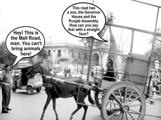  Hey! This is the Mall Road, man. You can\'t bring animals here! This road has a zoo, the governor House and the Punjab Assembly. How can you say that with a straight face?