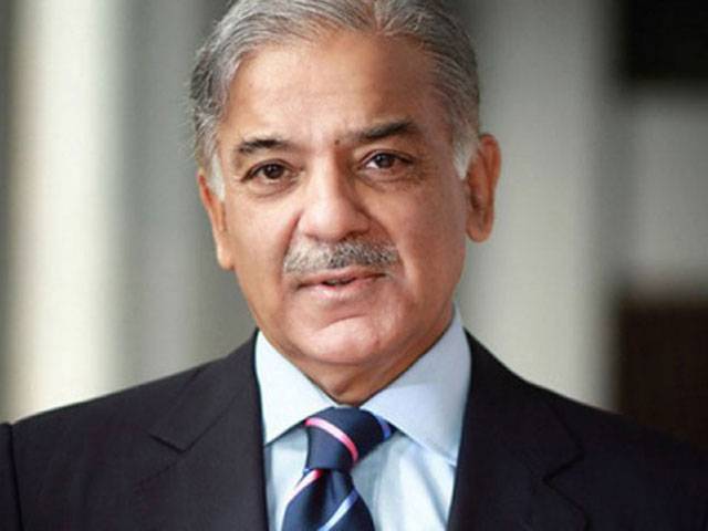 Shahbaz vows to safeguard small farmers’ interests