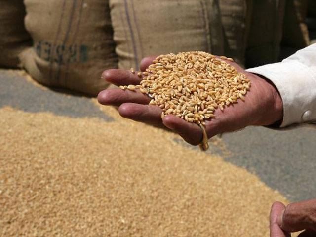 Punjab slammed for blocking wheat supply to KP 