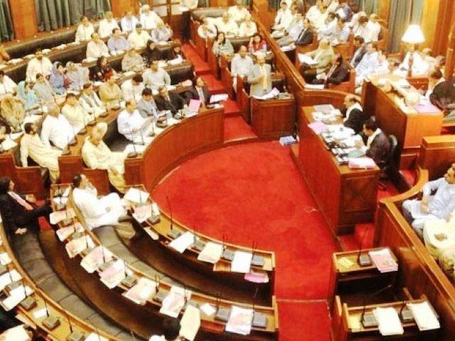 SA passes resolution in support of ISI