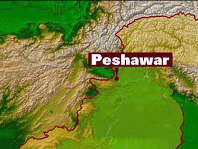 Nine hurt in Peshawar grenade attack